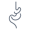 Gastrointestinal Functions